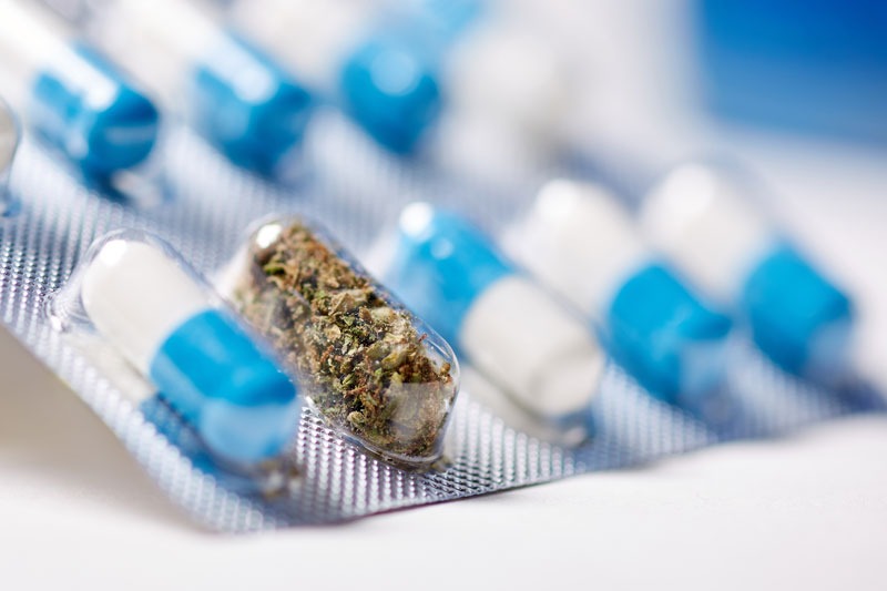 Are cannabinoid-derived drugs the future of medicine?