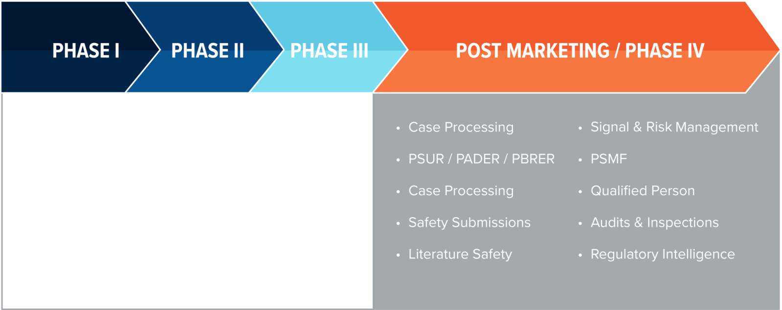 SAFETY AND PHARMACOVIGILANCE SOLUTIONS Biorasi